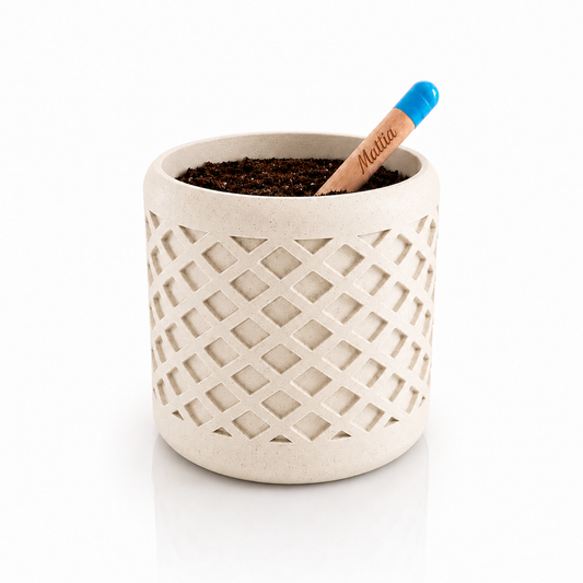 VASO ROMBO CON MATITA PIANTABILE